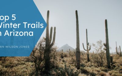 Top 5 Winter Trails in Arizona